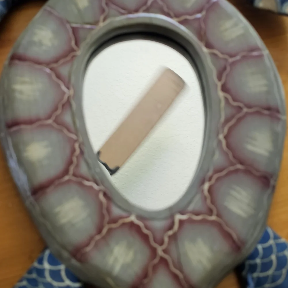 Set of Turtle Mirrors